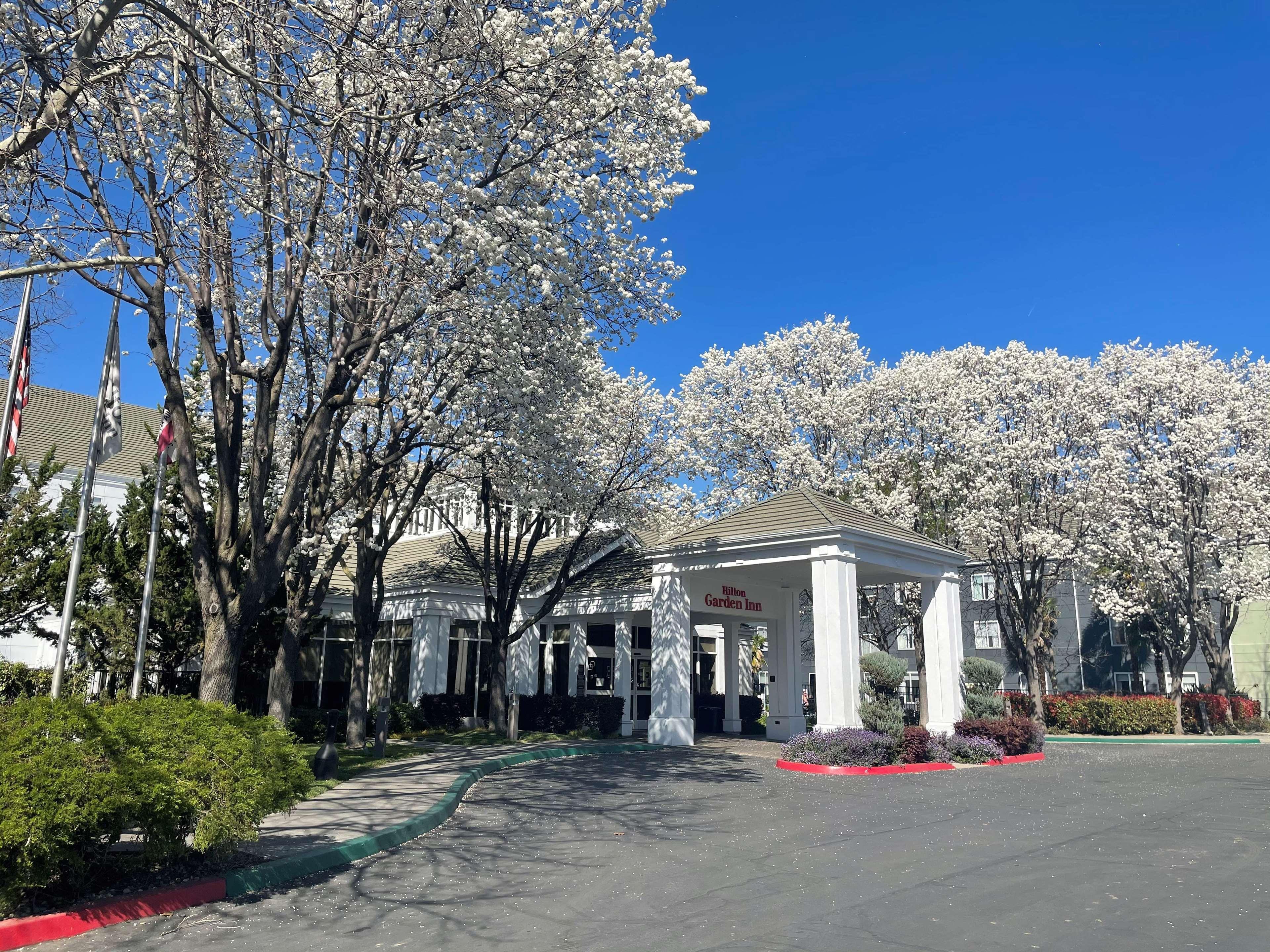 Hilton Garden Inn Sacramento/South Natomas Exterior photo